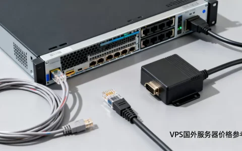 VPS国外服务器一个月多少钱？，哪家更便宜