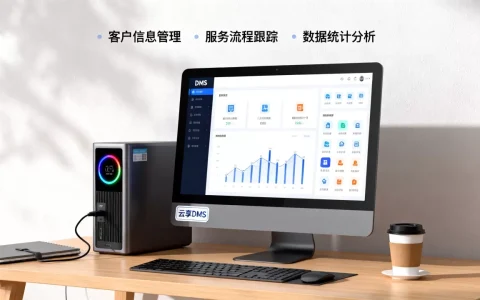 服务好的dms有哪些功能，哪个系统最稳定？