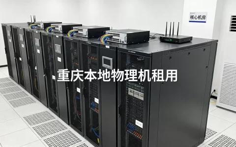 重庆本地物理机租用机房怎么选，哪家性价比高？