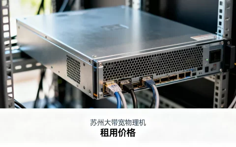 苏州大带宽物理机租用哪家好，多少钱一个月？