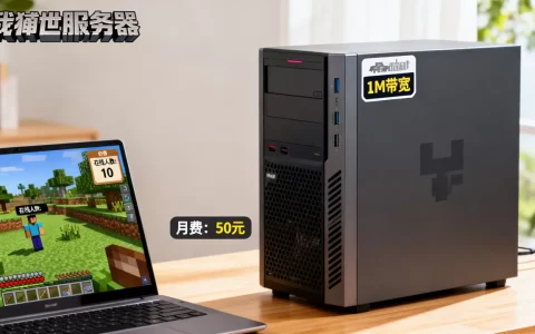 我的世界1m带宽能开多少人的服务器，多少钱