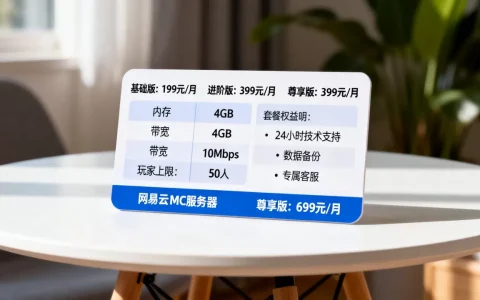 网易云mc服务器一个月多少钱，哪个套餐更划算？