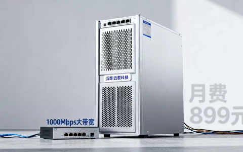 深圳大带宽物理机租用哪家值得推荐？，哪个品牌性价比高？