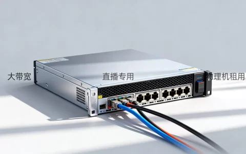 广州大带宽物理机租用直播专用怎么选，哪家好？