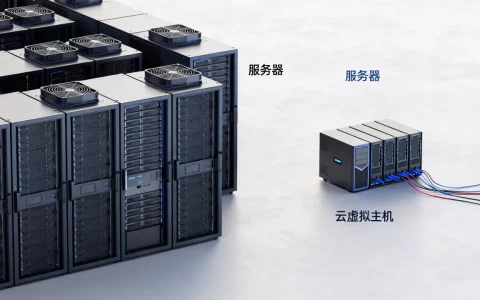 服务器和云虚拟主机有什么区别，哪个更稳定？