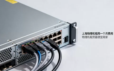 上海物理机租用一个月多少钱？，哪家最便宜？