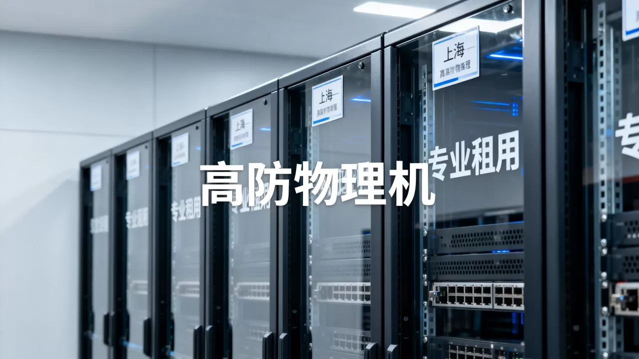 上海高防物理机租用到底哪家专业，价格多少？