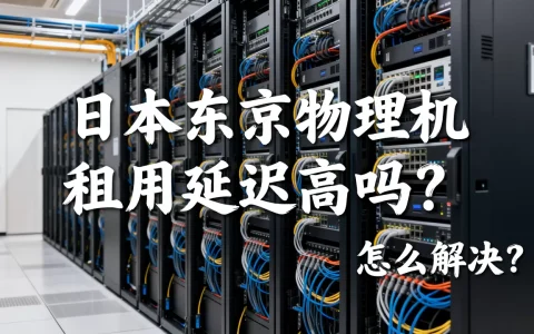 日本东京物理机租用延迟高吗？，怎么解决？