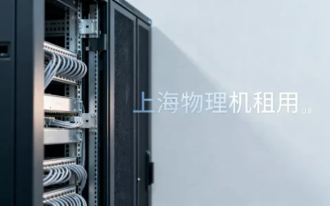 上海物理机租用哪家服务商正规靠谱？，哪家好