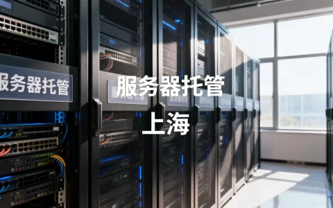 服务器托管上海