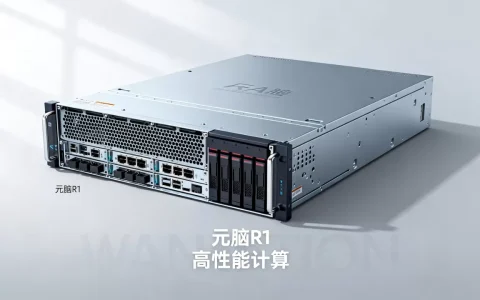 浪潮信息元脑R1服务器价格多少，浪潮元脑服务器性能如何