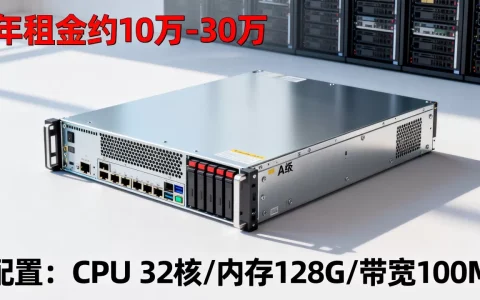 租一台a级服务器多少钱一年，性价比高吗？