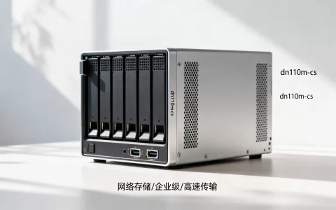 土星云网络存储服务器dn110m-cs多少钱，值得买吗？