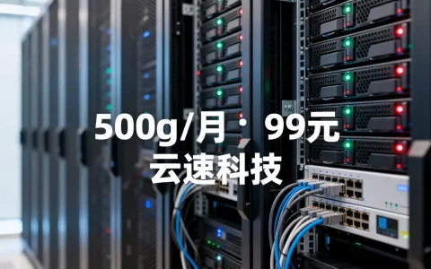 服务器500g一个月多少钱，哪家最便宜？