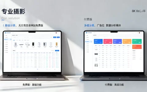分类目录网站模板免费版和付费版区别大吗，哪个好？