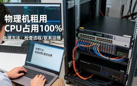 物理机租用CPU占用100%找谁处理，怎么办？