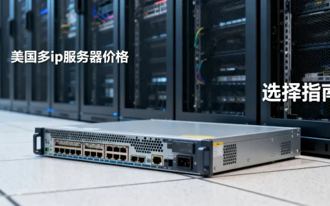 美国多ip服务器一个月多少钱，怎么选择？