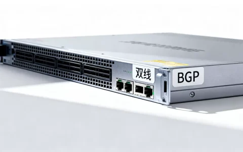 物理机租用双线还是BGP更稳？，哪个好？
