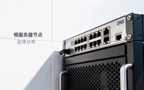 DNS根服务器到底可以存在哪些地方，在哪里？
