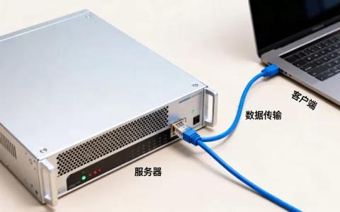 服务器发给客户端到底是什么意思？，怎么通俗解释