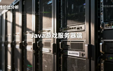 Java游戏服务器端公司有哪些，哪家性价比高？