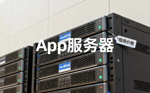 一个App服务器一年要多少钱？，租用服务器价格多少？