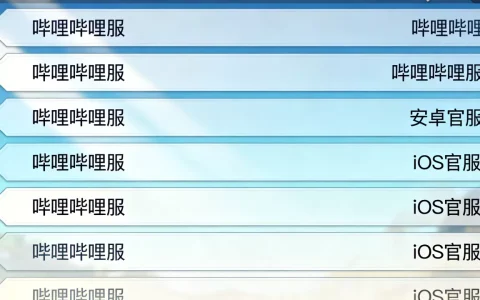 阴阳师B站可以进哪些服务器，哪个服务器好