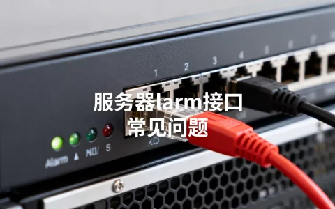 服务器alarm接口是什么，常见问题有哪些？