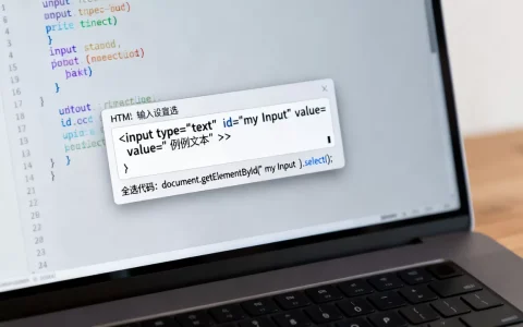 HTML输入怎么设置全选？,全选代码怎么实现？