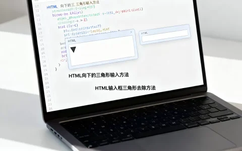 HTML向下的三角形怎么输入？，HTML输入框三角形怎么去掉
