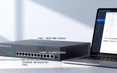 DHCP服务器能为客户端提供哪些参数，这些参数有什么作用
