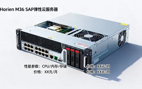 Horien M3系列SAP弹性云服务器性能如何，多少钱？