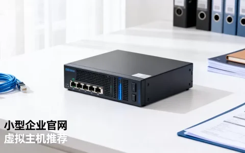 小型企业官网用什么虚拟主机好？，哪个品牌好？