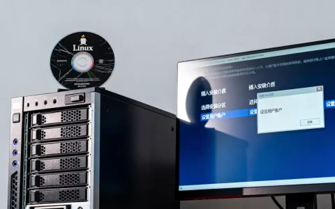 服务器操作系统linux怎么用，linux系统怎么安装
