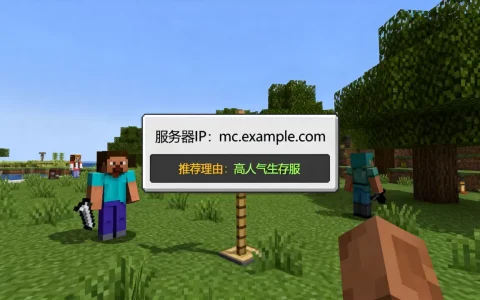我的世界有哪些好的服务器ip，哪个服务器好