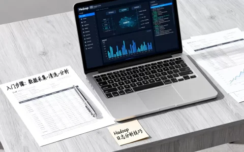 Hadoop网络日志分析怎么做？，怎么入门？
