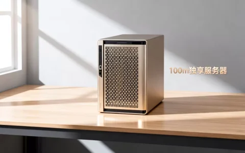 100m独享服务器多少钱一个，哪家最便宜？