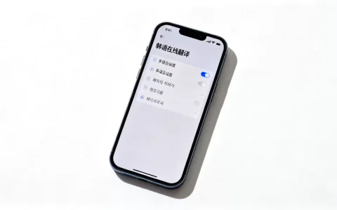 韩语在线翻译多语言设置怎么设置？，好用吗？