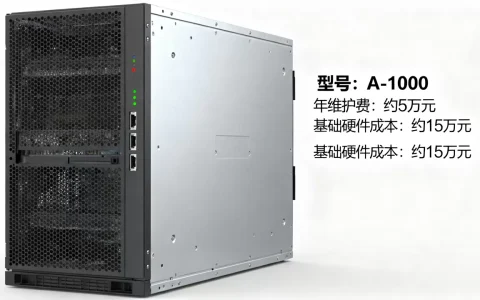 一台a级服务器每年的费用是多少，多少钱一台？