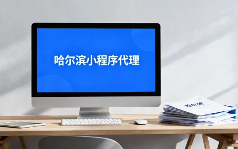 哈尔滨小程序代理怎么选，哪家比较靠谱？