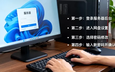 服务器网盘怎么设置密码，操作步骤是什么？