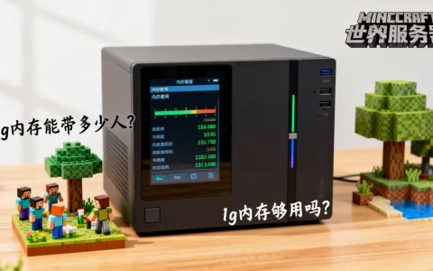 我的世界服务器1g内存能带多少人，1g内存够用吗？