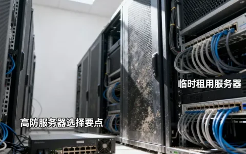 电商大促临时租用服务器可行吗，双十一临时租用高防服务器怎么选？