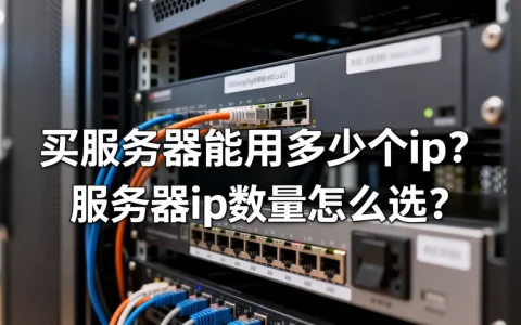 买服务器能用多少个ip？，服务器ip数量怎么选？
