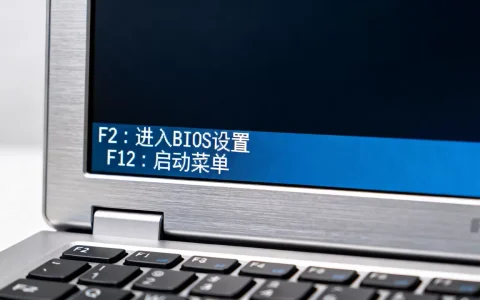 新服务器开机F2和F12到底怎么办，是什么原因