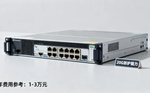 20g高防服务器一年多少钱，哪家性价比高？