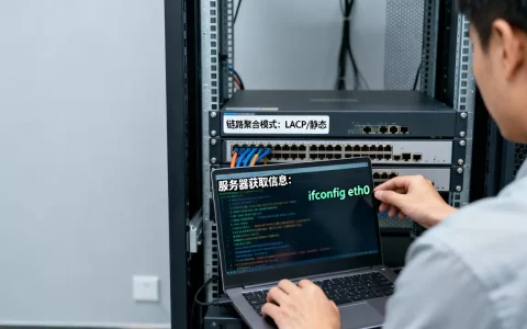 服务器如何获取链路聚合信息，链路聚合模式有哪些？