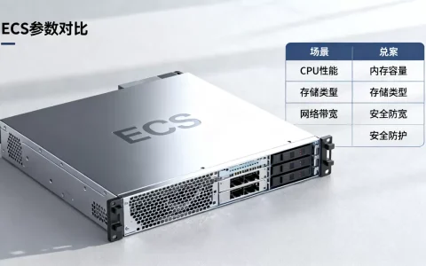 如何选择购买ECS服务器的指标，有哪些注意事项？