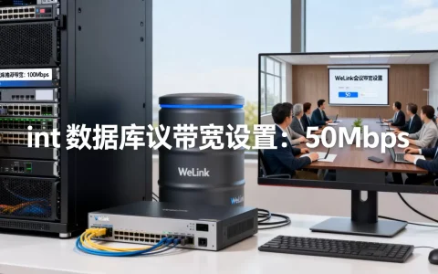 int数据库和WeLink会议带宽多大合适？，怎么设置？