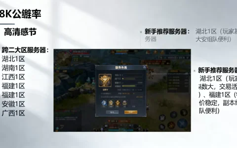 跨二大区有哪些服务器，哪个服务器最适合新手玩家